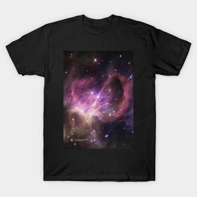 IC 348, Perseus constellation (James Webb/JWST) T-Shirt by Synthwave1950